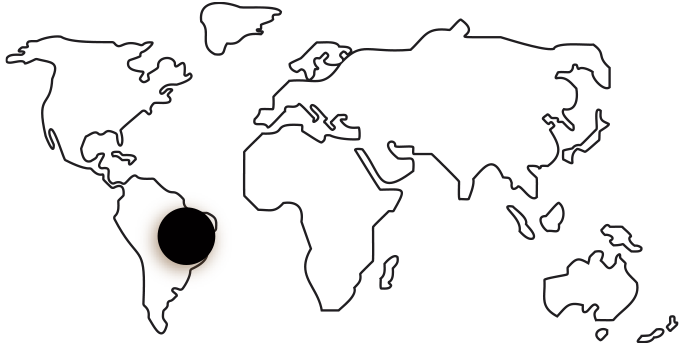 Origines Brésil