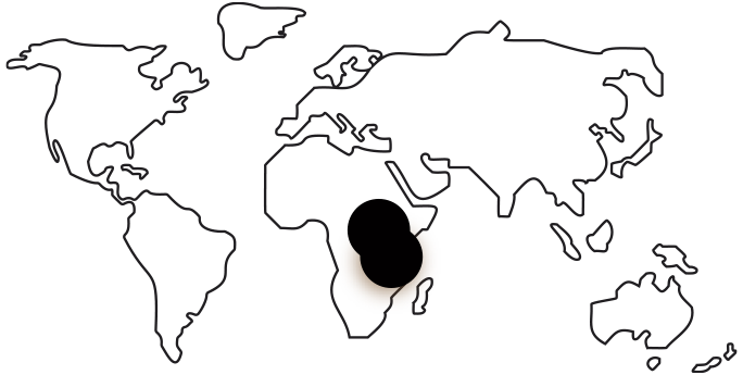 Origines Brésil et Ouganda