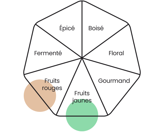Roue des arômes