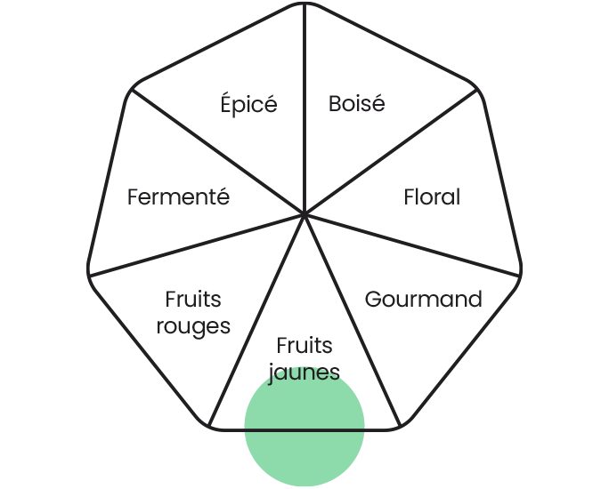 Roue des arômes