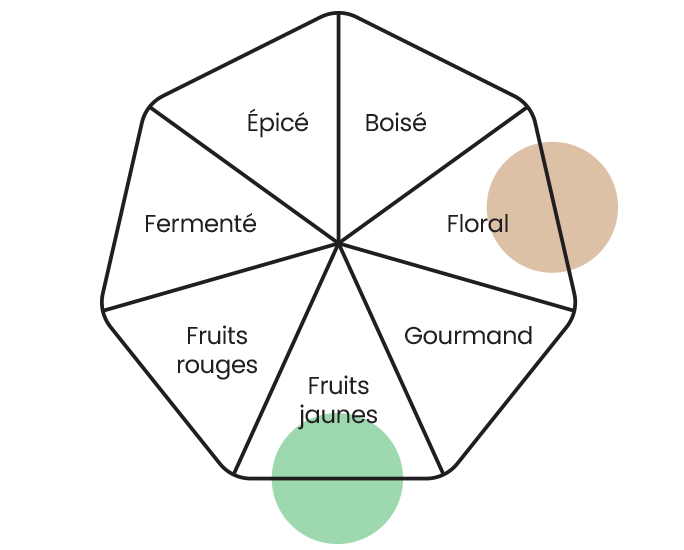 Roue des arômes