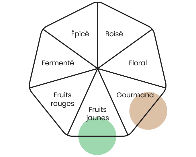 Roue des arômes