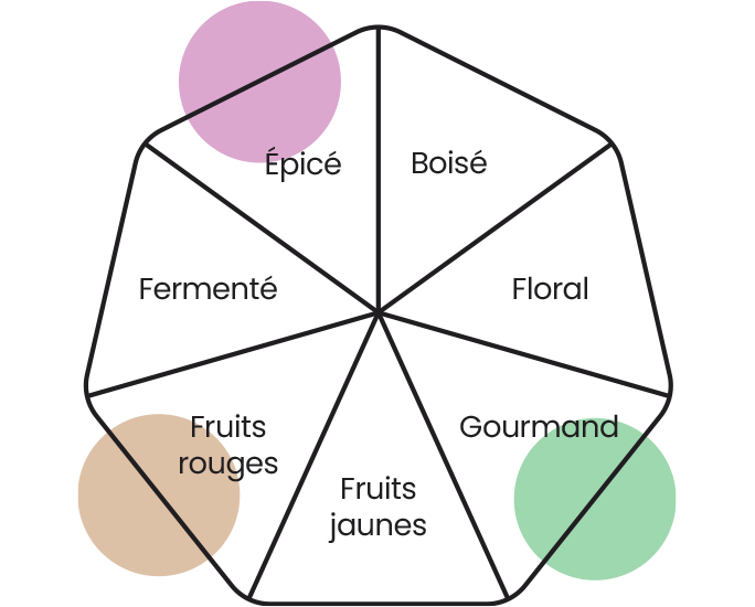 Roue des arômes