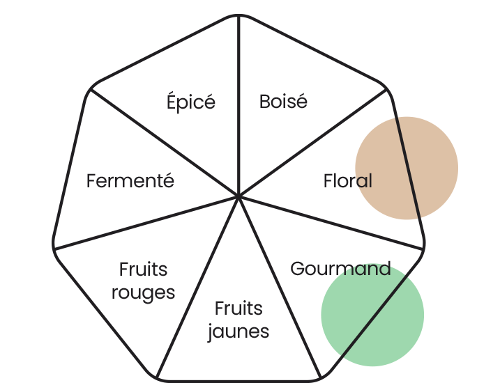 Roue des arômes