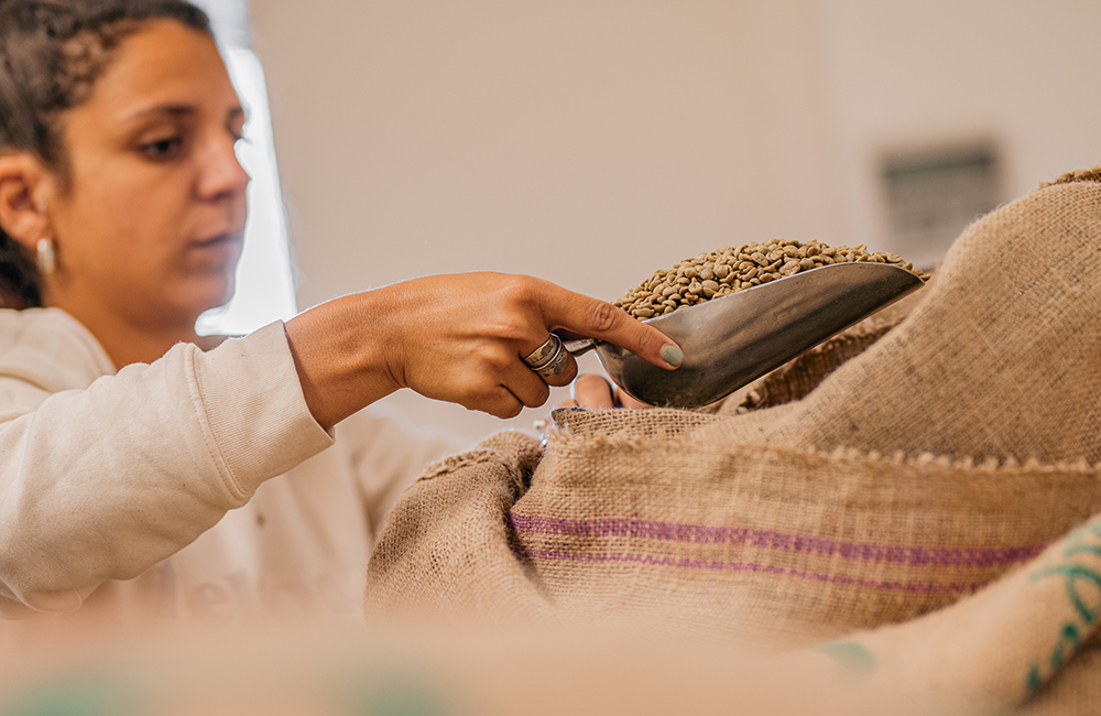 Grains de café vert